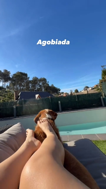 Ari Geli