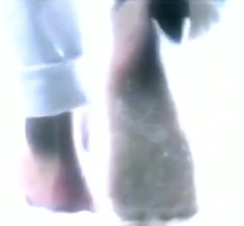 Leon Lai