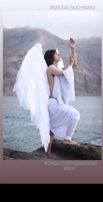 Diego Cruchaga Ponce de León