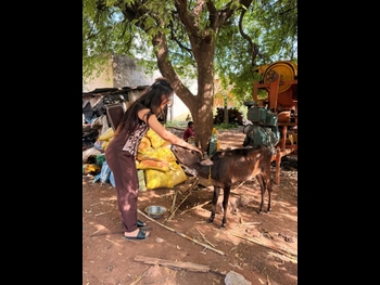  alt="Ashnoor Kaur"
