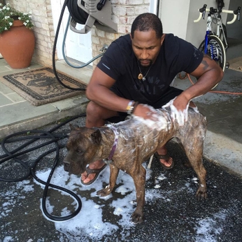 Ray Lewis
