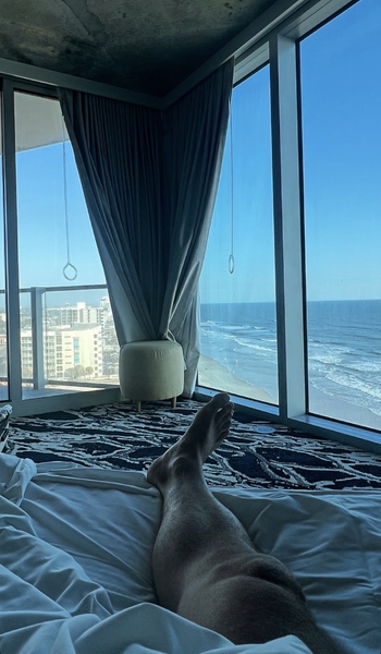 Johnny 'Bananas' Devenanzio