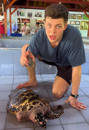 Alex Høgh Andersen