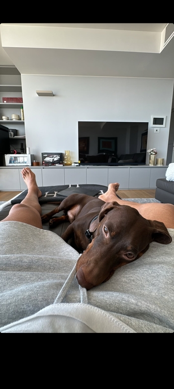 João Félix