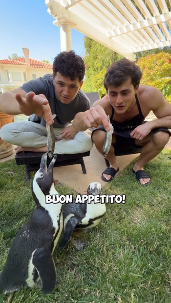 Gianluca Conte
