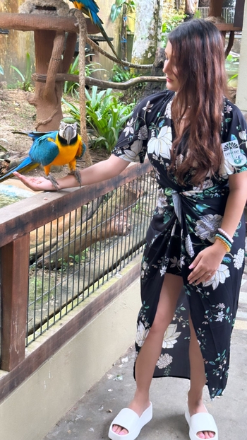 Krittika Sharma