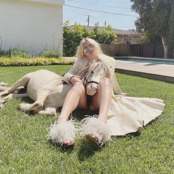 Kesha