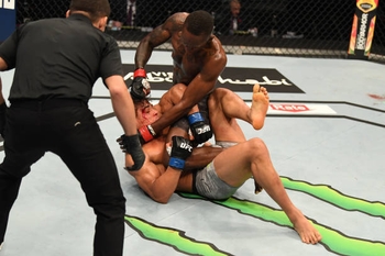 Paulo Costa