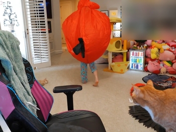 Emily 'Emiru' Schunk