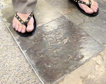 Alexander Skarsgård