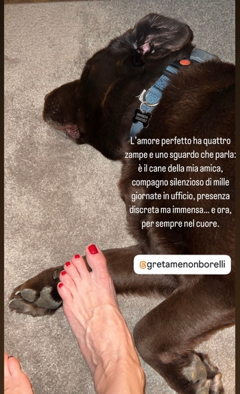 Elisabetta Franchi