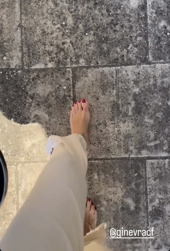 Elisabetta Franchi