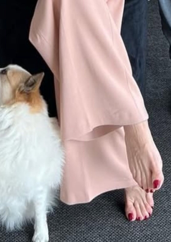 Elisabetta Franchi