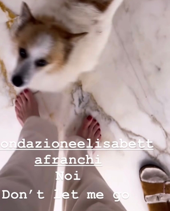 Elisabetta Franchi