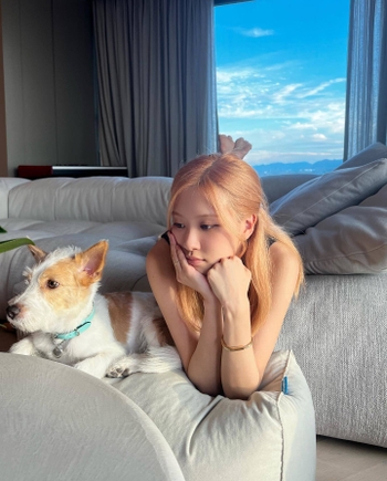 Rosé