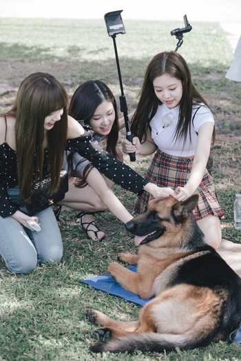 Rosé