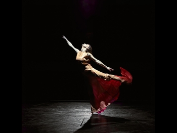  alt="Anka Vasadze"