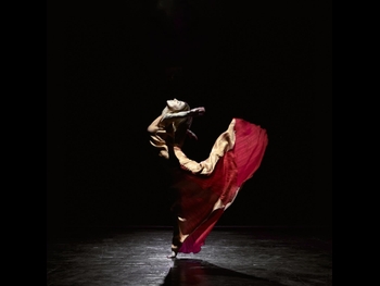  alt="Anka Vasadze"