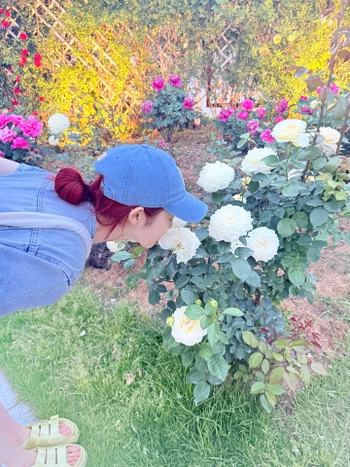 Si-Eun Park