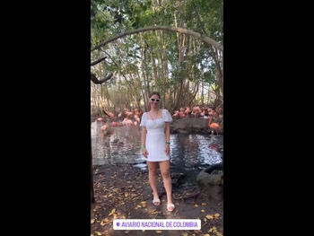  alt="Ana Carolina Madeira"