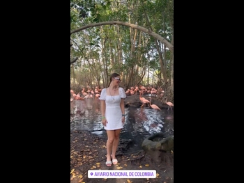  alt="Ana Carolina Madeira"