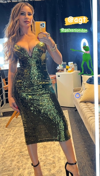 Sofía Vergara