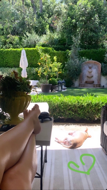 Sofía Vergara