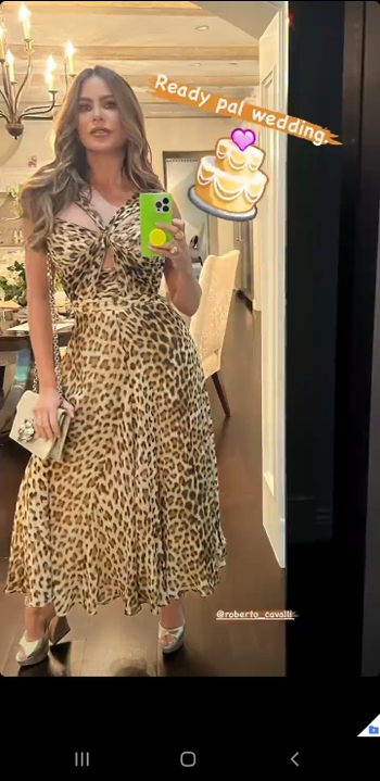 Sofía Vergara