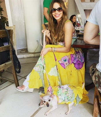 Sofía Vergara
