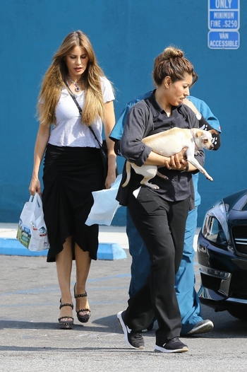 Sofía Vergara