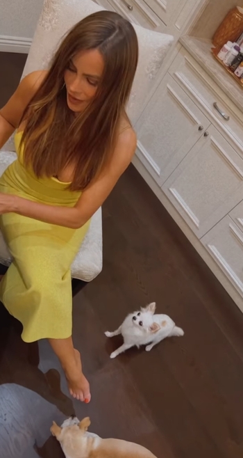 Sofía Vergara