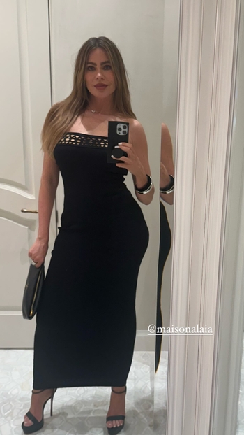 Sofía Vergara