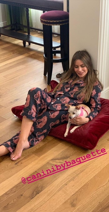Sofía Vergara