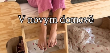 Berenika Kohoutová