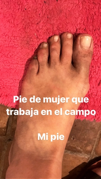 Dafne Fernández