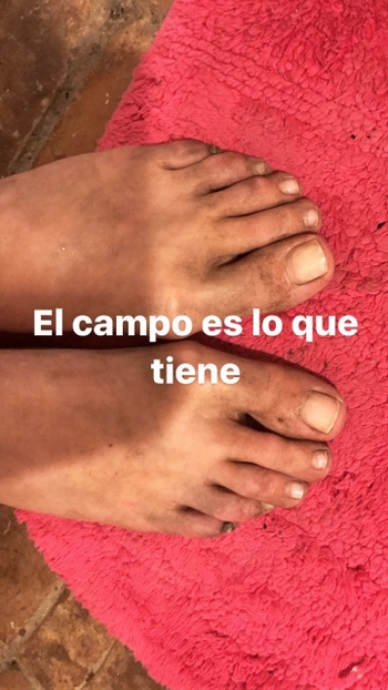 Dafne Fernández