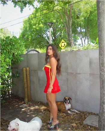 Pau Mor