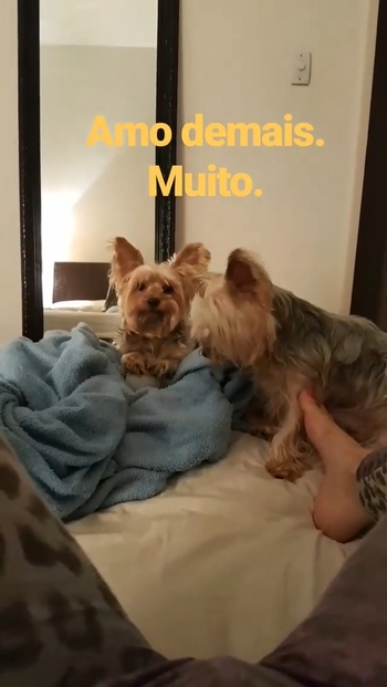 Pietra Príncipe