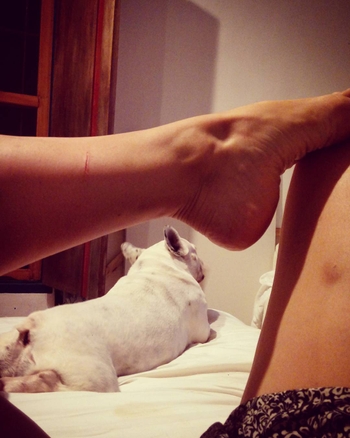 Pietra Príncipe