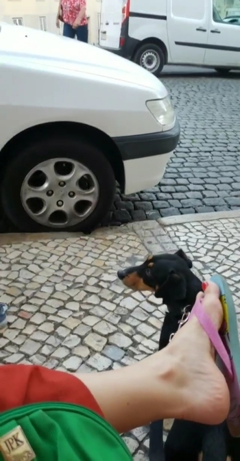 Pietra Príncipe