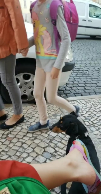 Pietra Príncipe