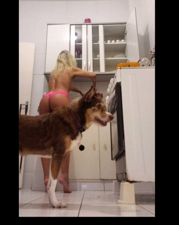 Pietra Príncipe
