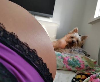 Pietra Príncipe