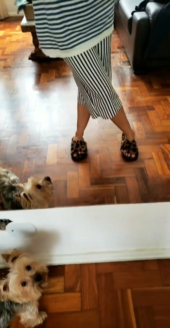 Pietra Príncipe