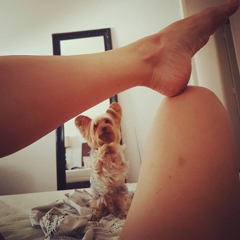 Pietra Príncipe