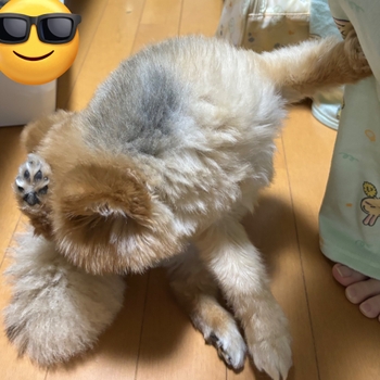 Saku Mizuno