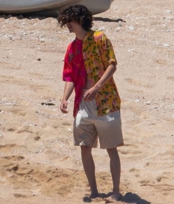 Timothée Chalamet