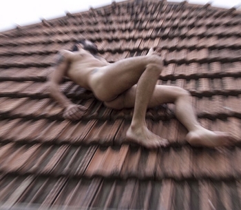 Vandre Silveira