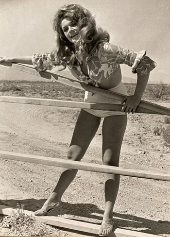 Ann Adams