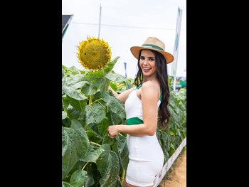  alt="Romy Paz"